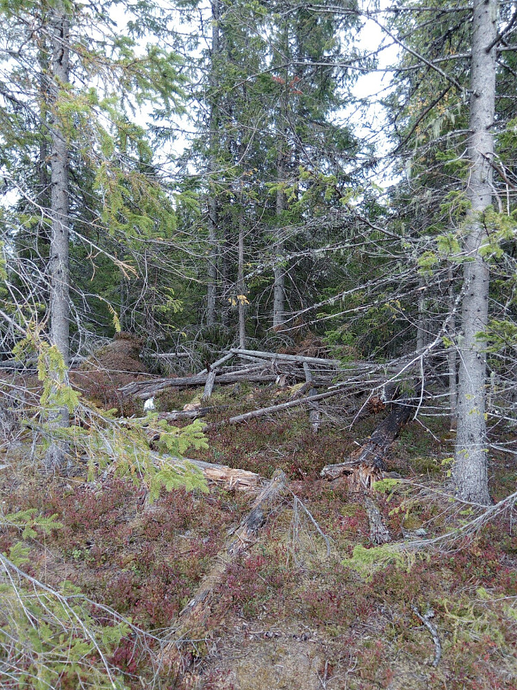 Et sammenrast tårn