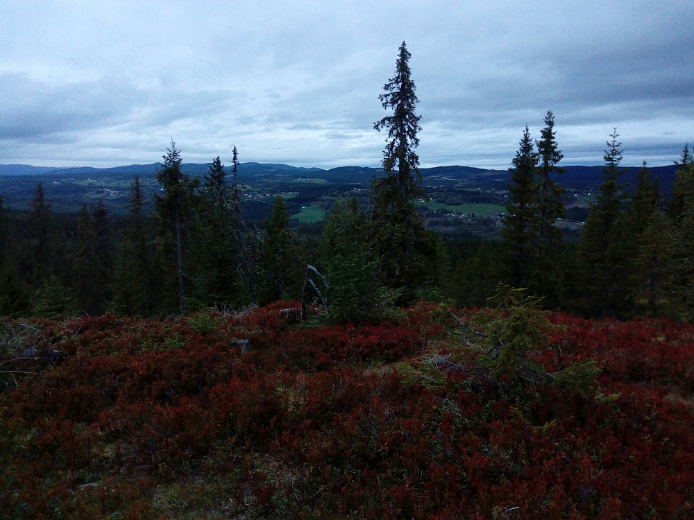 Nordover