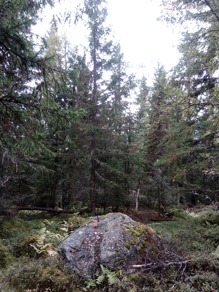 Toppen uten utsikt