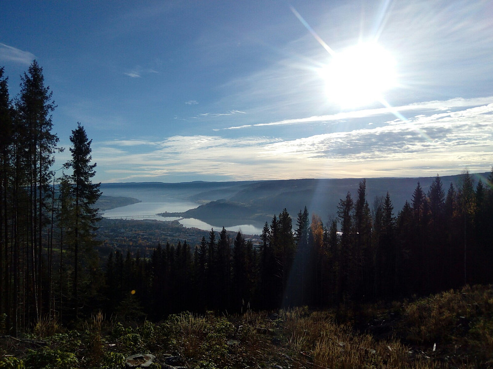 Utsikten fra hogstfeltet mot sør, Mjøsa og Lillehammer