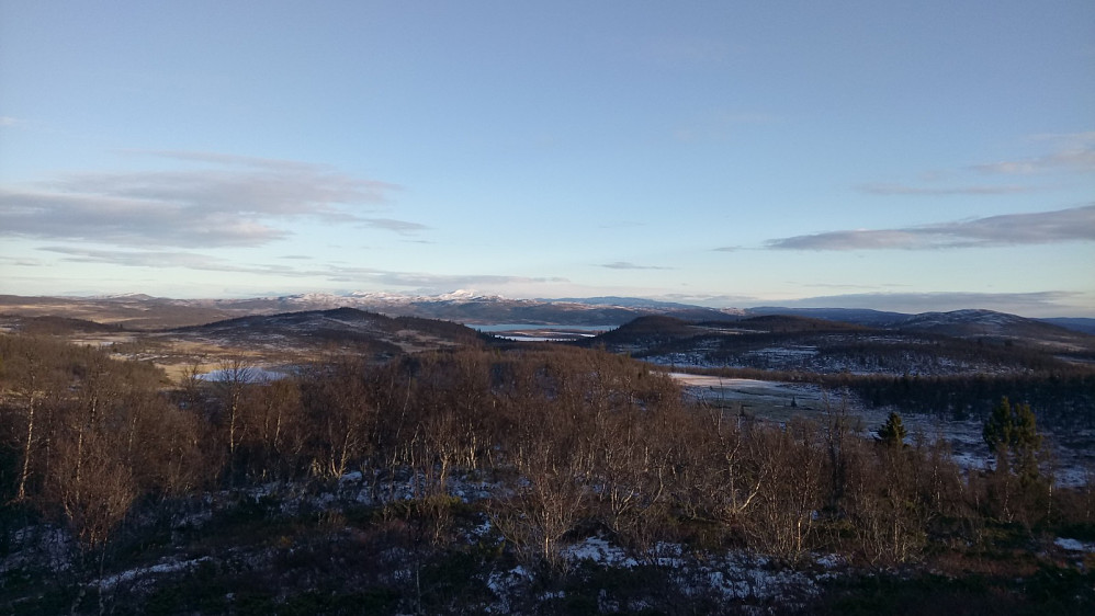 Østover fra tregrensa