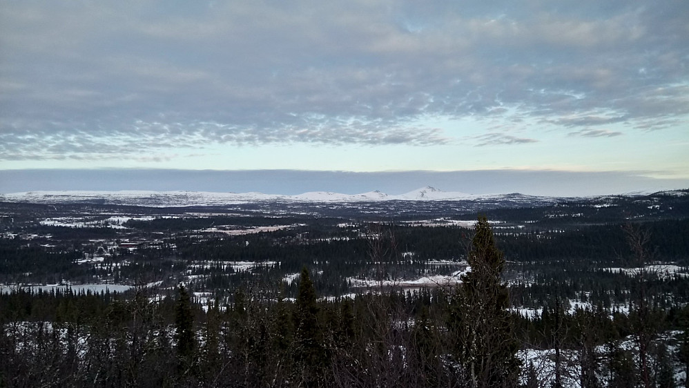 Øst-nordøst