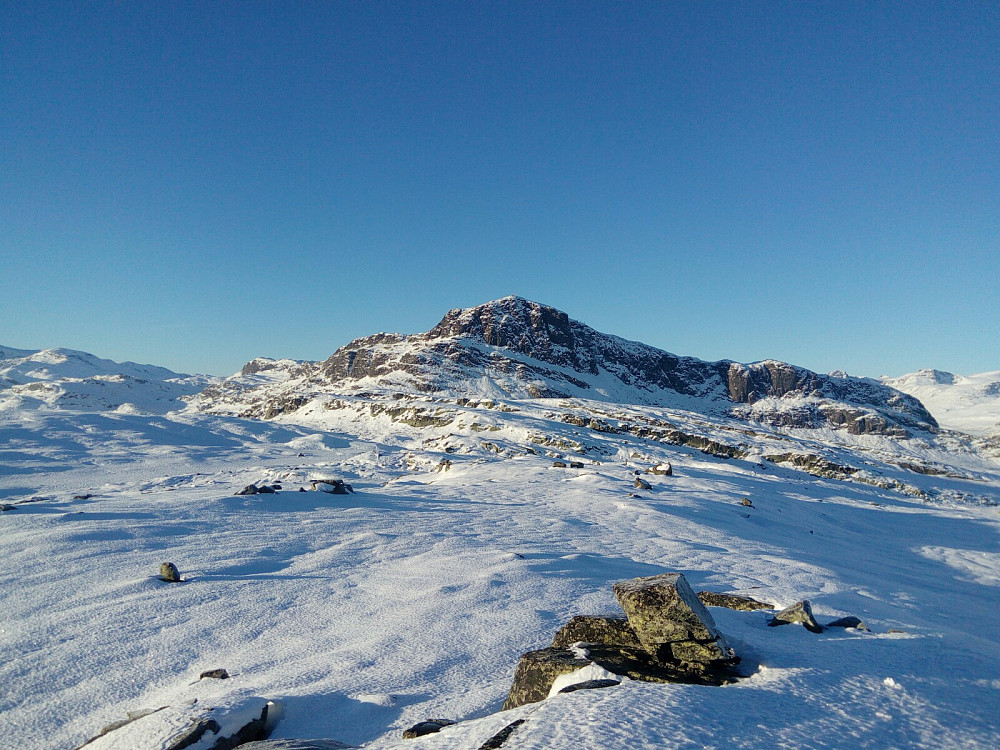 Bitihorn sett fra Oledalsbrynane
