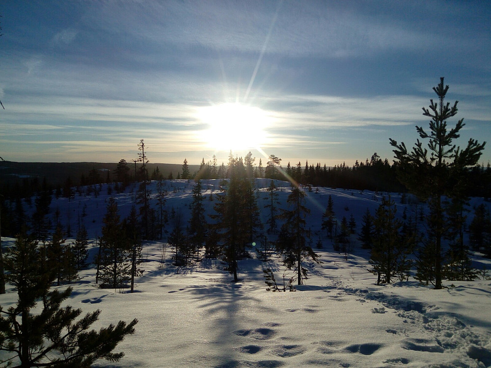 Solnedgang fra Skonhovdhøgda