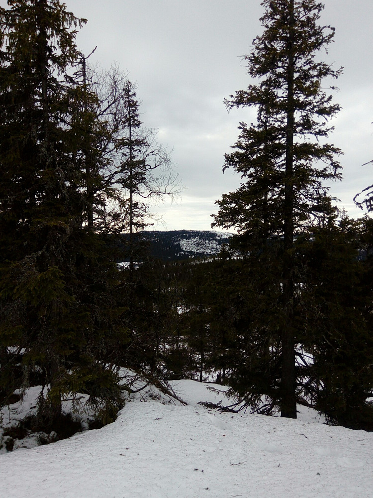 Litt utsikt fra Storskurven