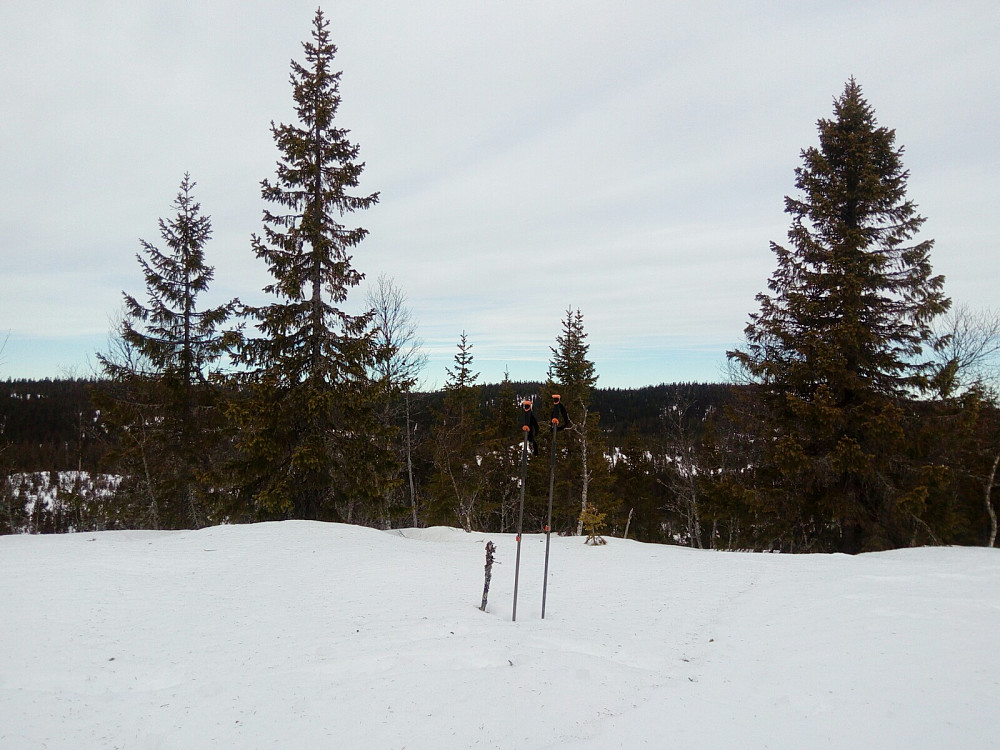 Litt utsikt nordvestover fra toppen