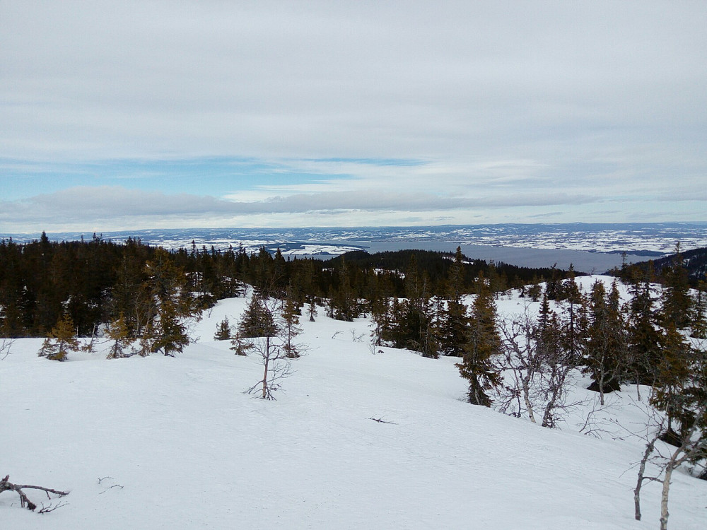 Mjøsutsikt fra Hvervenberget