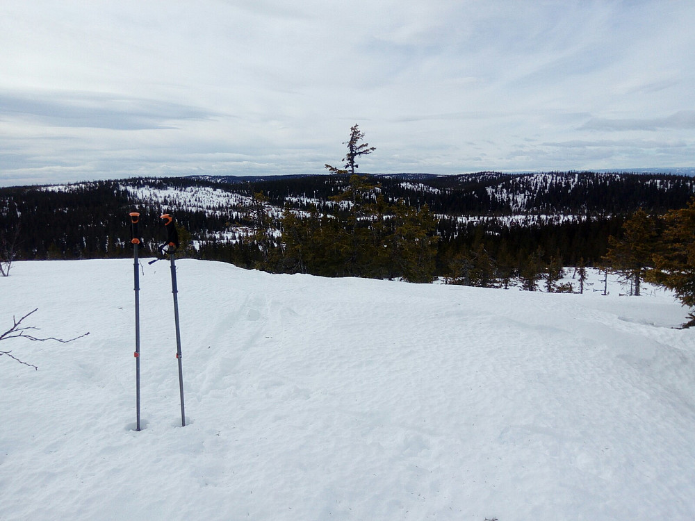 Fra Hvervenberget mot Skreifjella og Oftentjernshøgda