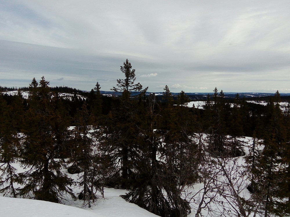 Østover fra Skålåsen