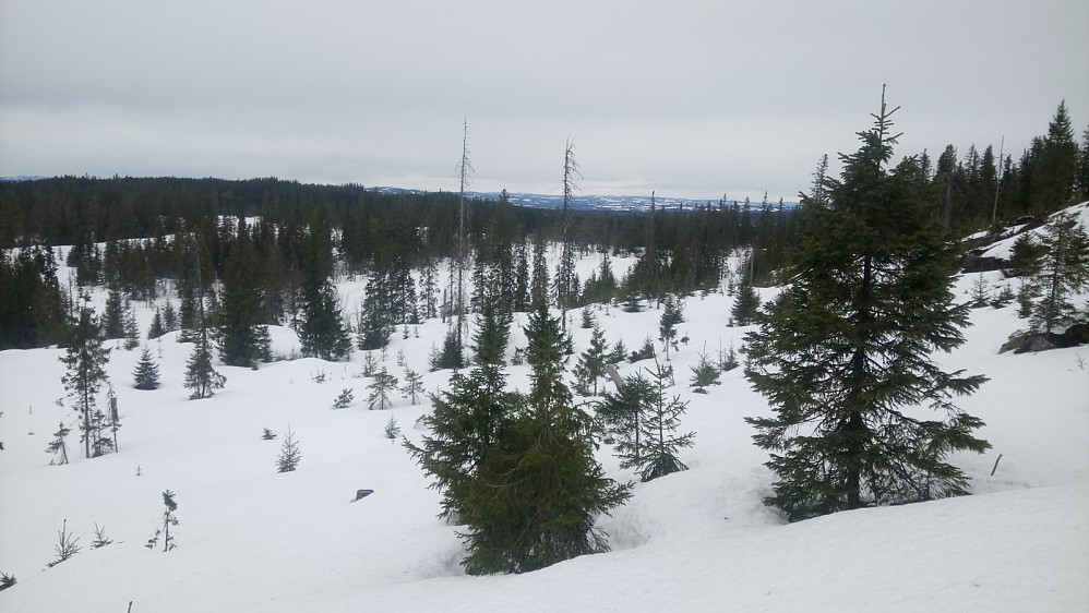 På tur ned fra Bergsjøbrenna, utsikt nordover