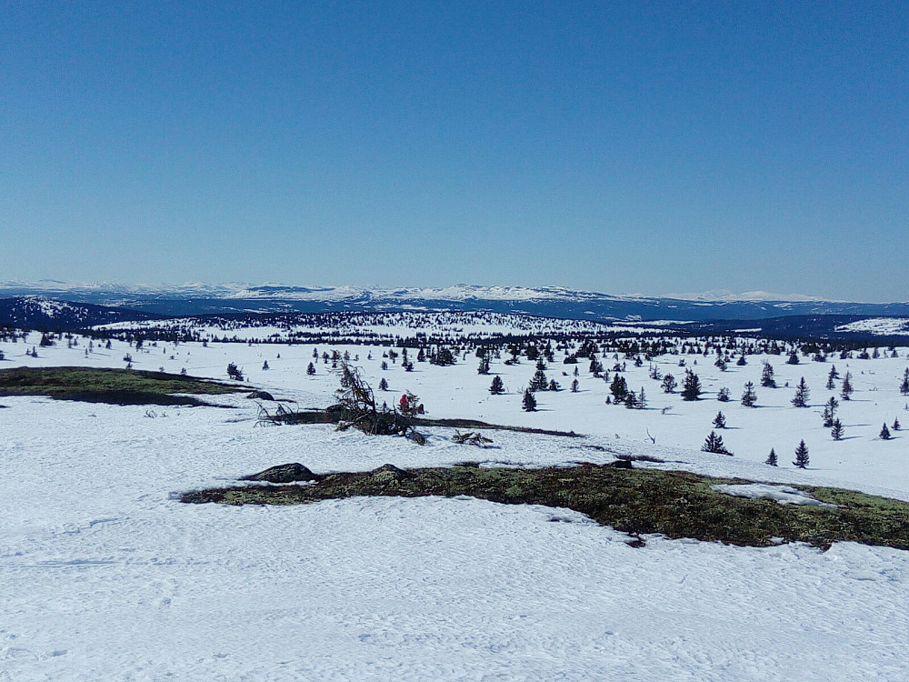 Vestover fra toppen