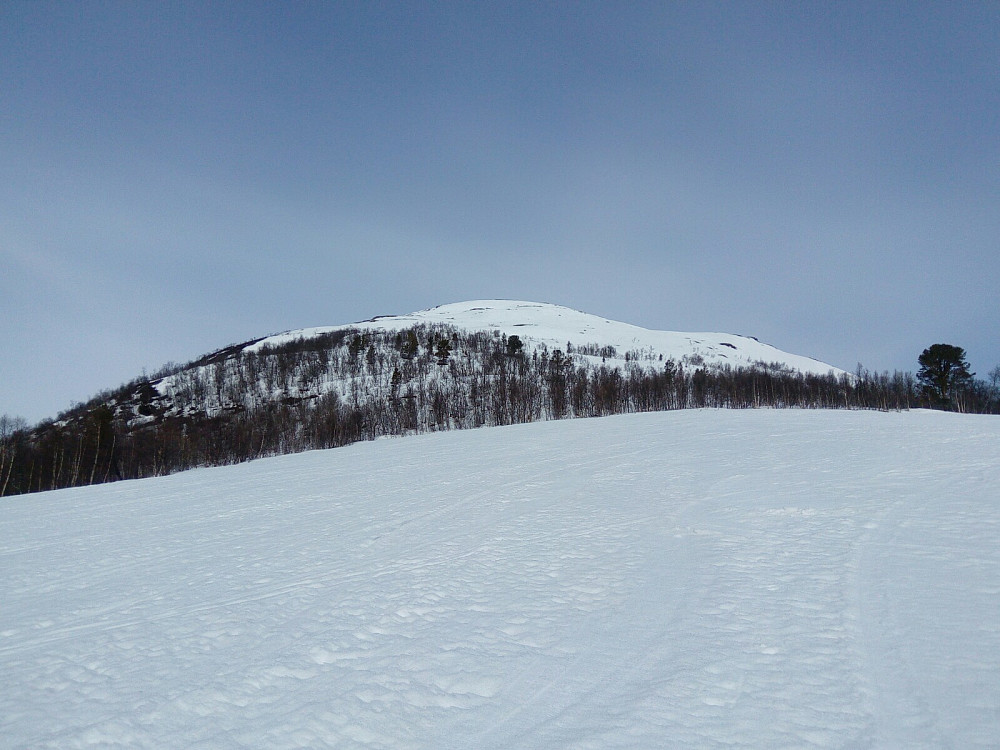 Rånåkollen