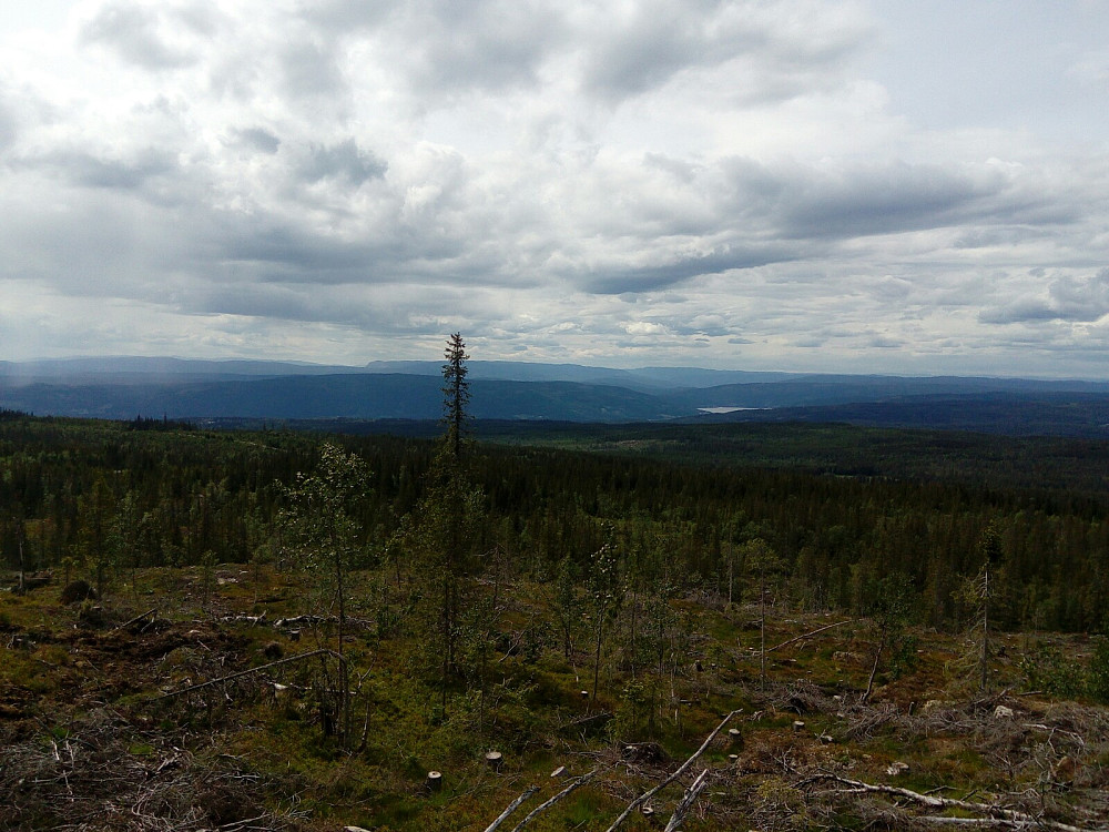 Mot Norefjell, Vikerfjell og Randsfjorden 