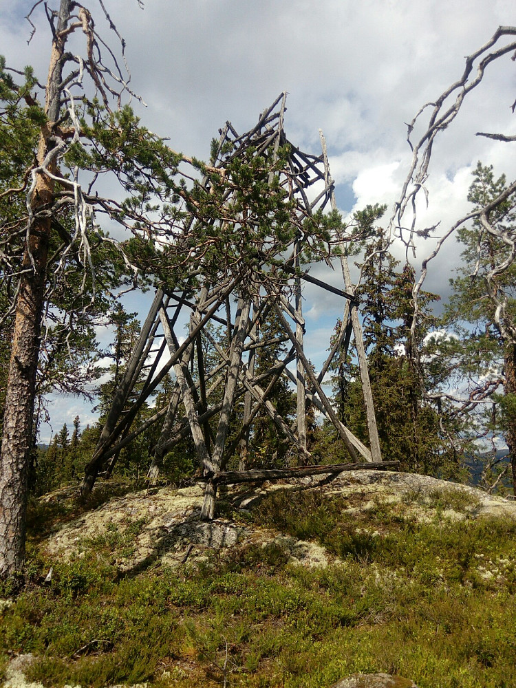 Råttent tårn på toppen