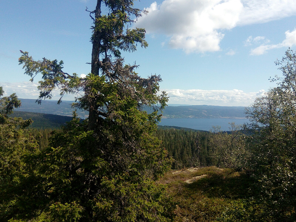 Mjøsa