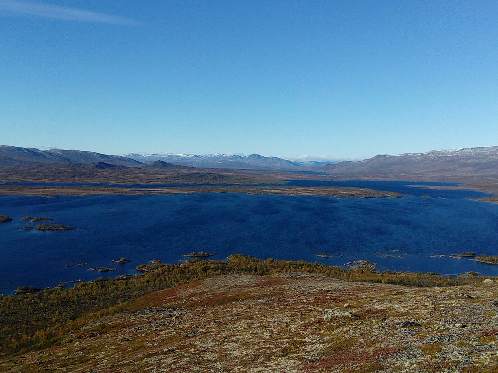 Sørvestover
