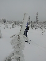 gitteval_20191225_5e0377555876f.jpg