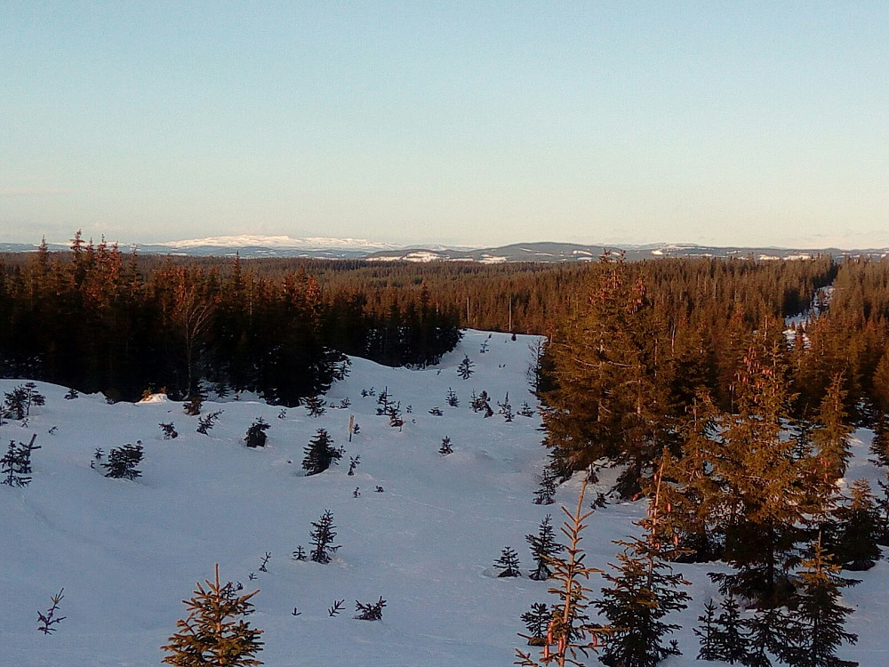 Synnfjellet