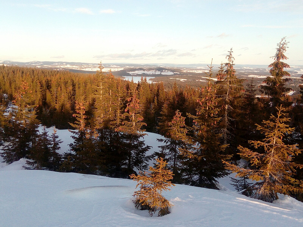 Skumsjøen midt i bildet