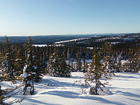gitteval_20200202_5e36e761d3081.jpg