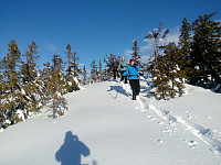 gitteval_20200202_5e36e762c7791.jpg