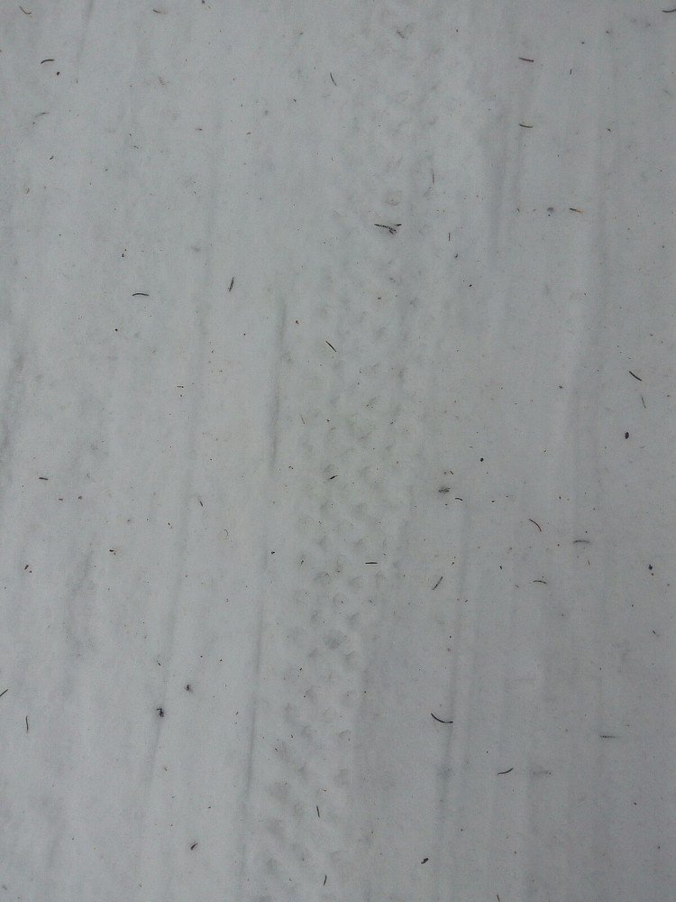 Her er det sykkelspor i skiløypa