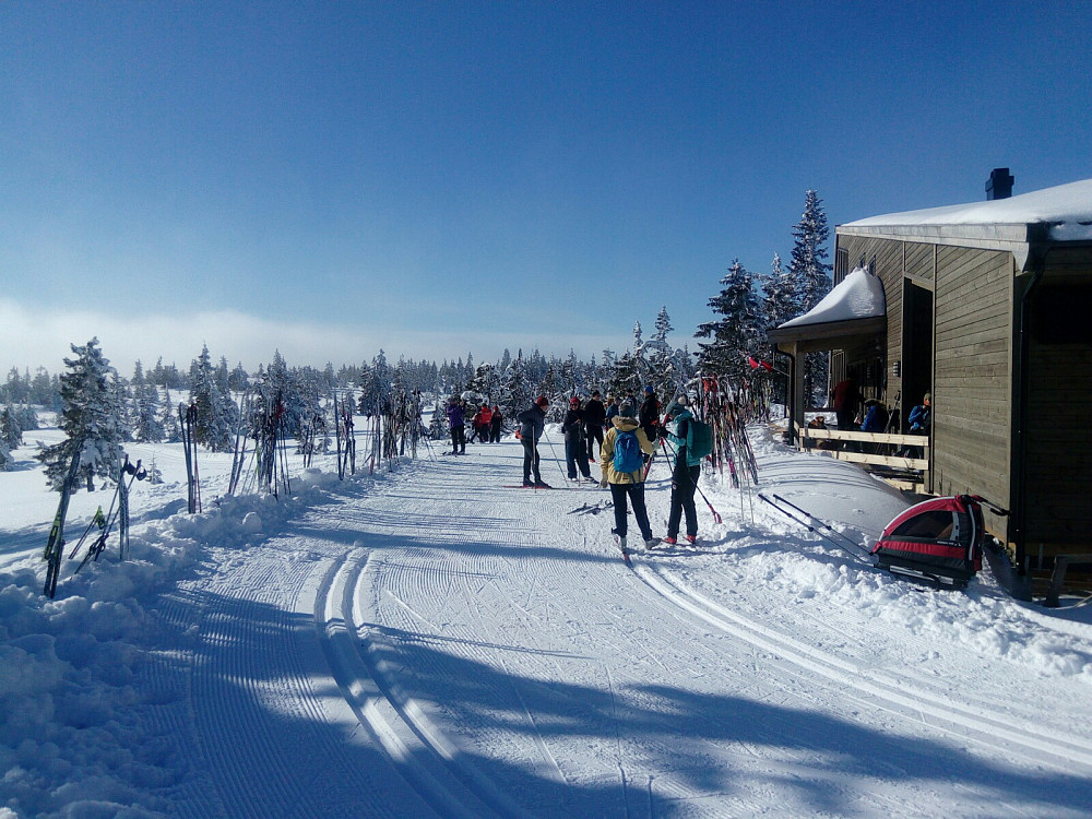 Tilsynelatende mange kaffetørste skiløpere på Raudsteinshytta