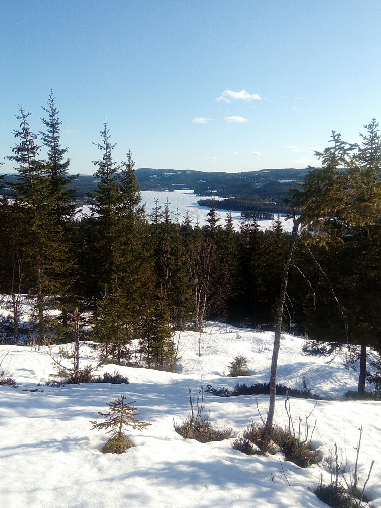 Skumsjøen