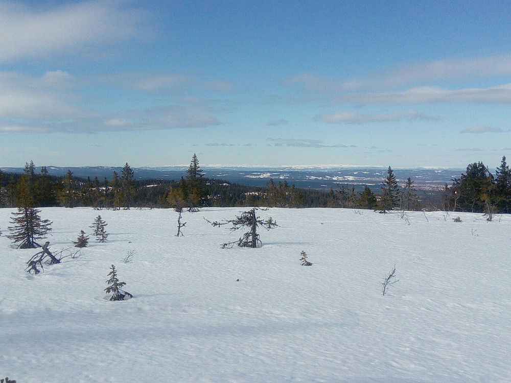 Vestover fra Hongsæterbrenna