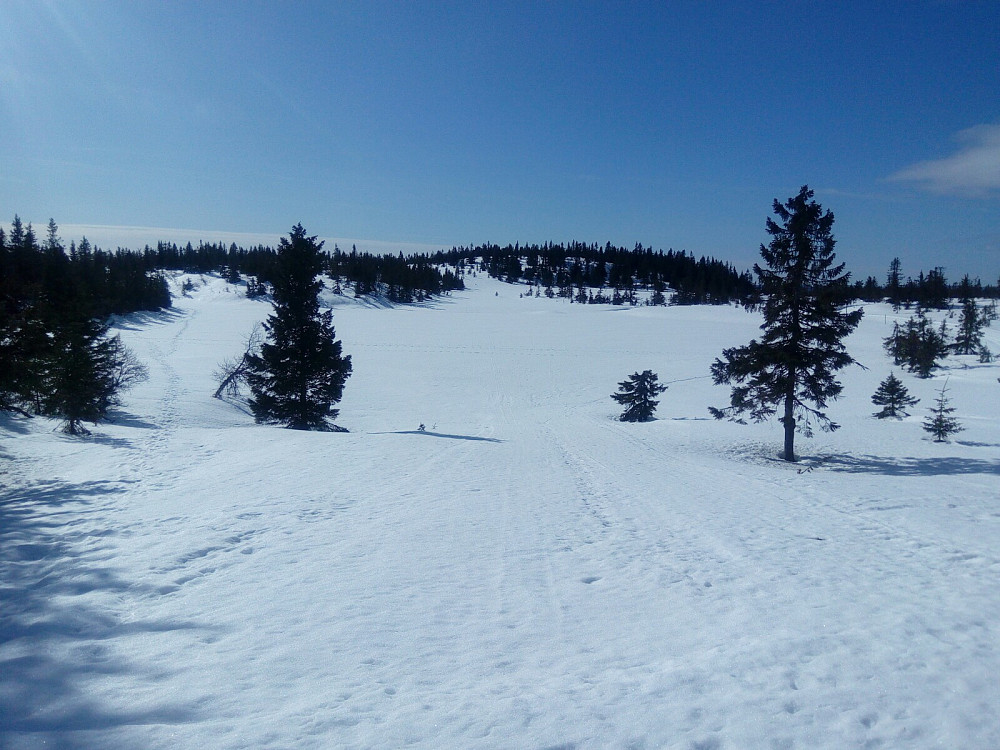 Raudsteinstjernet