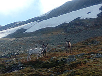 gitteval_20200714_5f0df10c742c0.jpg