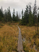 gitteval_20201012_5f83d48858eb5.jpeg