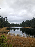 gitteval_20201012_5f83d49647041.jpeg