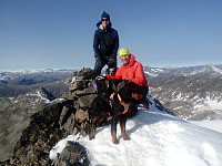 gitteval_20201128_5fc2477a920a4.jpg