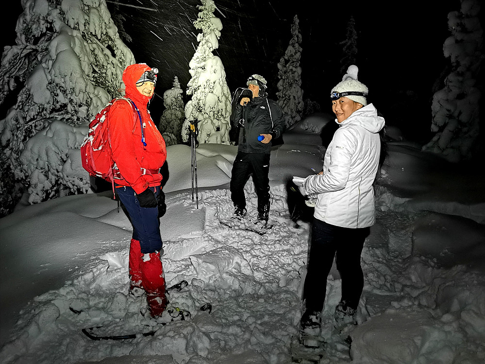 På Bygdeborgen