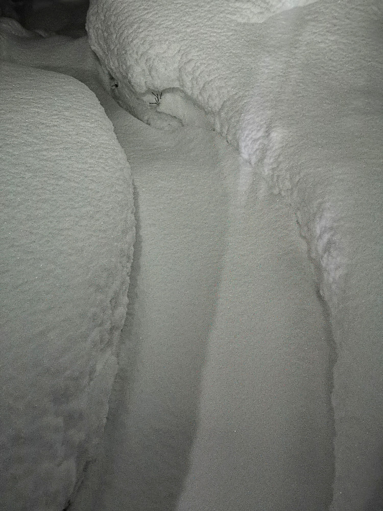 Snødd litt siden i går kveld da vi gikk her