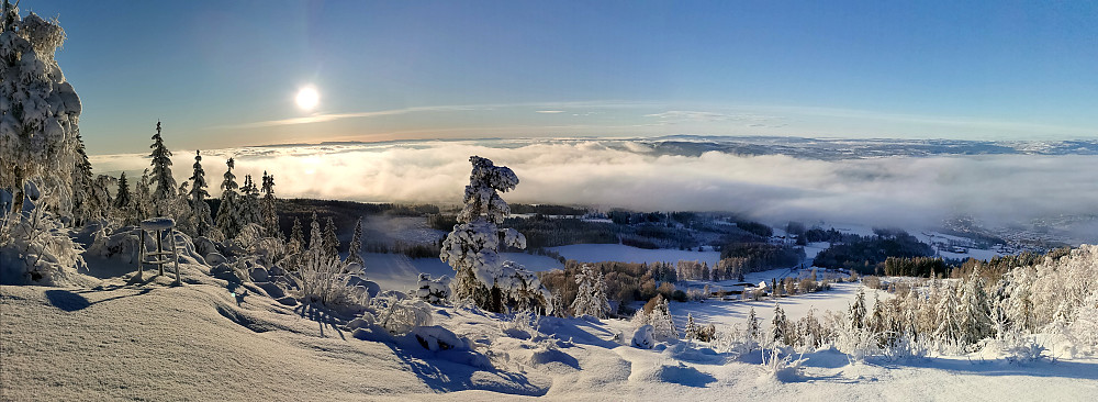 Høsbjørkampen vest (570moh)