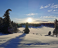 gitteval_20201223_5fe36ca3bfeae.jpg