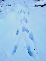 gitteval_20201225_5fe658f8d284c.jpg