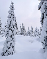 gitteval_20210101_5fef7c6f1f52b.jpg