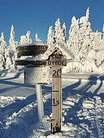 gitteval_20210103_5ff20d89777d3.jpg