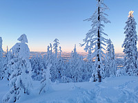 gitteval_20210103_5ff210af650c2.jpg