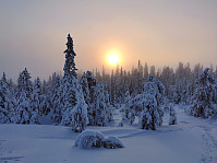 gitteval_20210106_5ff6191a029f9.jpg