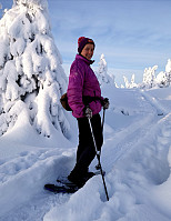 gitteval_20210109_5ffa1e2e91641.jpg