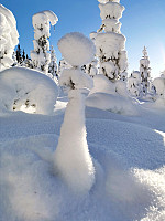 gitteval_20210116_60034e1d83657.jpg