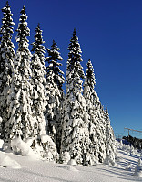 gitteval_20210116_60034e3040140.jpg