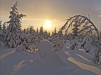 gitteval_20210123_600c96806a06a.jpg