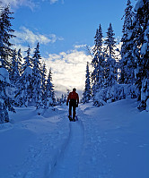 gitteval_20210124_600da3ee5e3a8.jpg