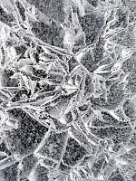gitteval_20210301_603d636898ae5.jpg