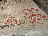 gitteval_20210301_603d6435865da.jpg